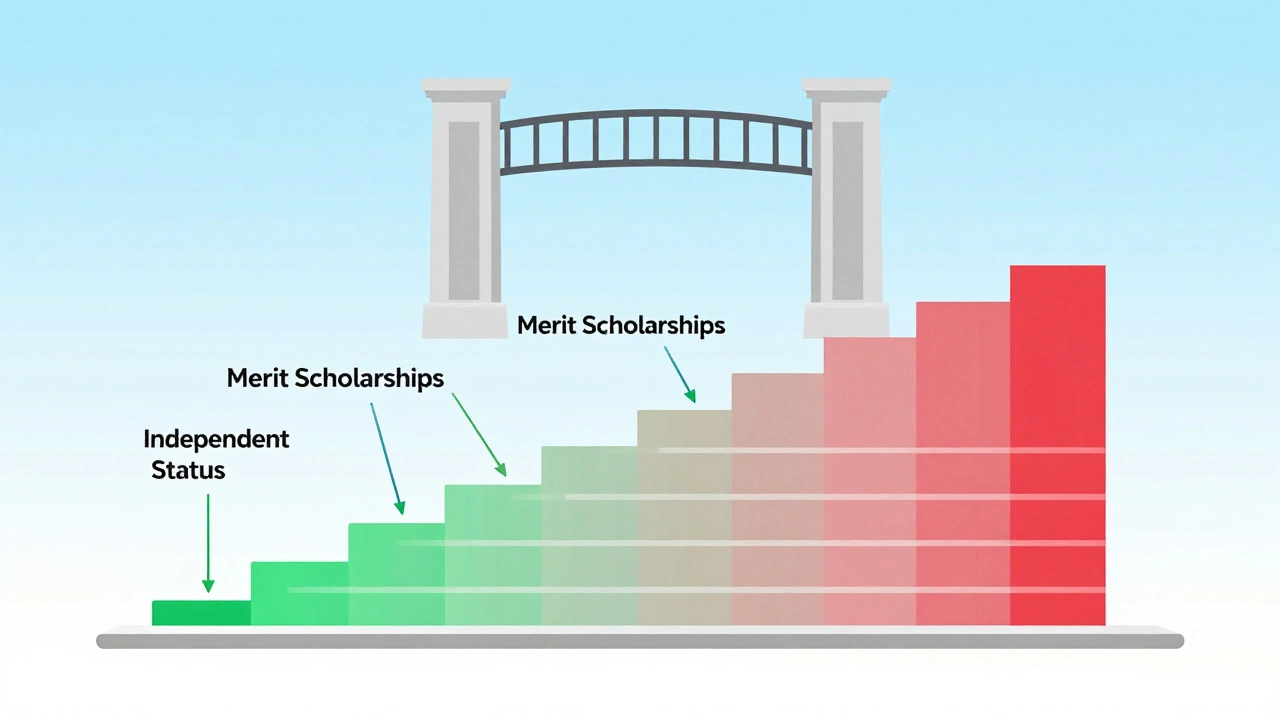 Staircase metaphor showing multiple pathways to college funding beyond just income limits